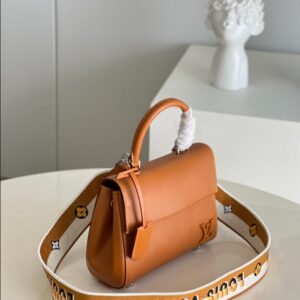 Louis Vuitton Cluny Mini Handbag - LH47