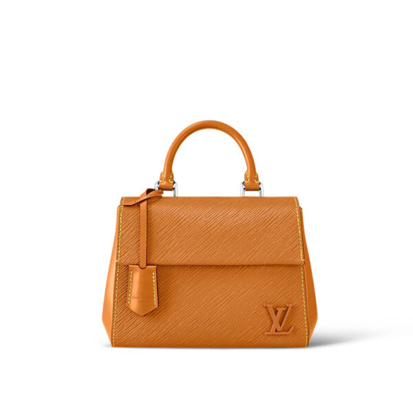 Louis Vuitton Cluny Mini Handbag - LH47