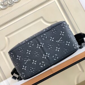 Louis Vuitton Roll Top Backpack - LP28