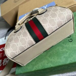 Gucci Ophidia mini GG top handle Bag - GB023