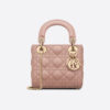 Dior Micro Lady Bags - DH006