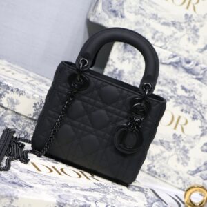 Dior Mini Lady Bags - DH004