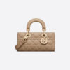 Dior Small Lady D-Joy Bags - DH003