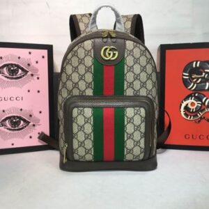 Gucci Ophidia GG Small Backpack - GP026